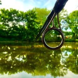 fishing forest3