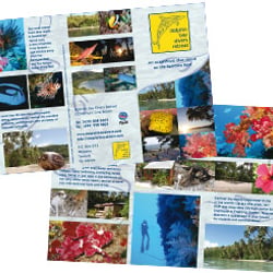 Flyer für Tauchresort
