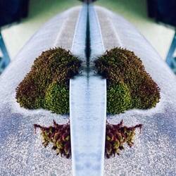 Spiegelbild