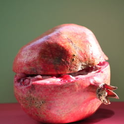 Granatapfel November 2012