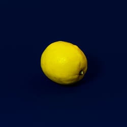 Abschlussarbeit Fotodesign