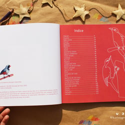 Cover and content of the self-published book“Pinta con Karina: pajaritos chilenos”, 2019.