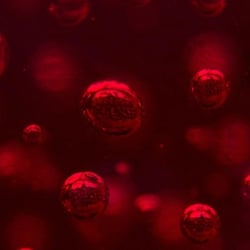 Bubbles