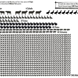 Vegan Infographic 03.