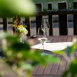 Spay 25 Mosel