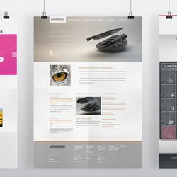 Web Designs