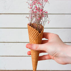 Food-Styling und Fotografie