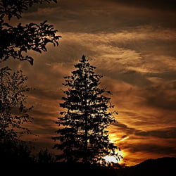 Created & Copyrights by Stephanie Meier