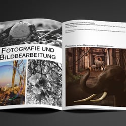 Mockup A4 Brochure 4fritzenhoever
