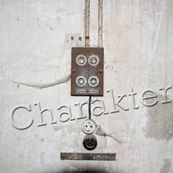 Charakter