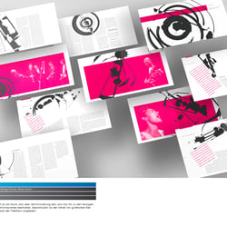 diongrafik Seite 30