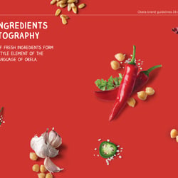 Brand Book