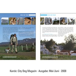 CityDog-6