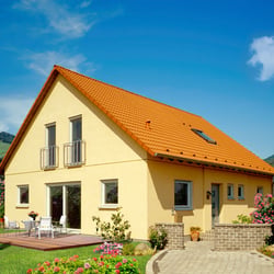 P Schad digital 6