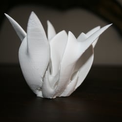 Blüte