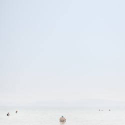 Totes Meer, 2016