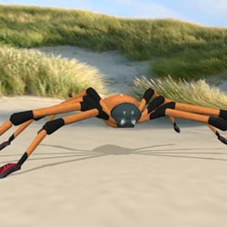 Charakter Spinne