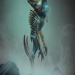 o.T.2