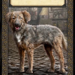 karte 45×68 streunender hund front