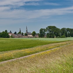 Zons
