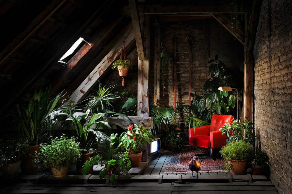 Set Design „Urban Jungle“