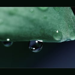 DSC09940