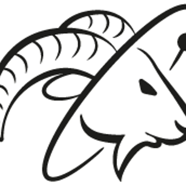 Spacegoats GmbH