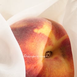 Food 23.08.14