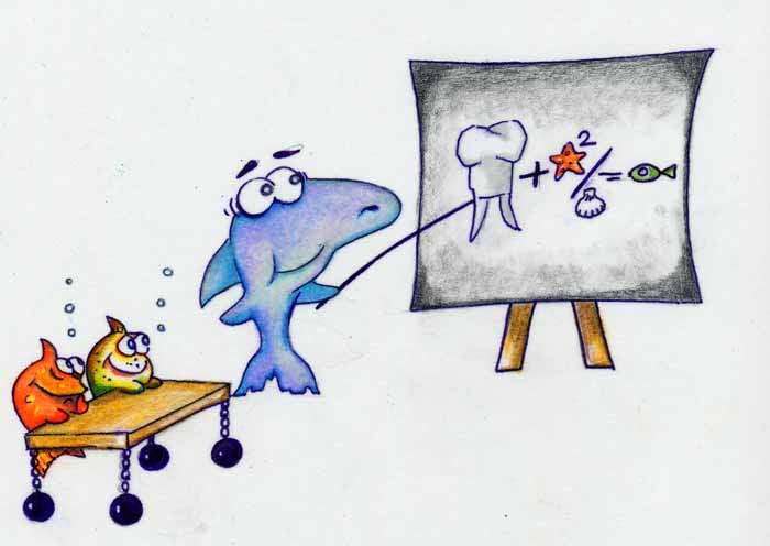 Zahnpflege 1×1 für kleine Fische…