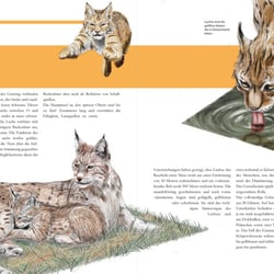 Natur-Illustrationen