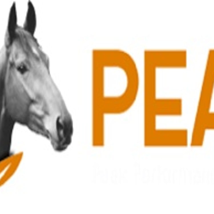 Peak Horse