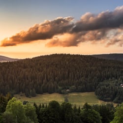 Schwarzwald