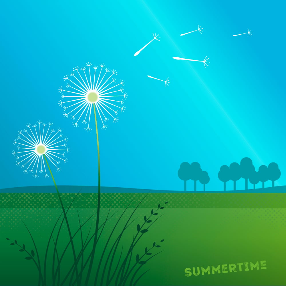 Summertime – Dandelion – Animation