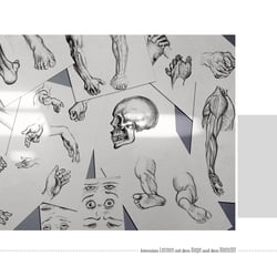 anatomische studien