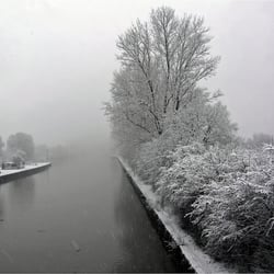 Winter am Neckar 6667k