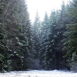 www.danneffel.de 2009 123