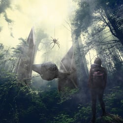 expedition