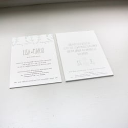 IMG 4097
