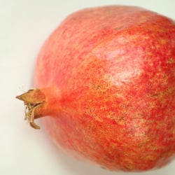 Granatapfel November 2012