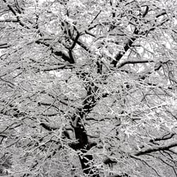 Winter-Impression-XV