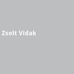 Zsolt Vidak