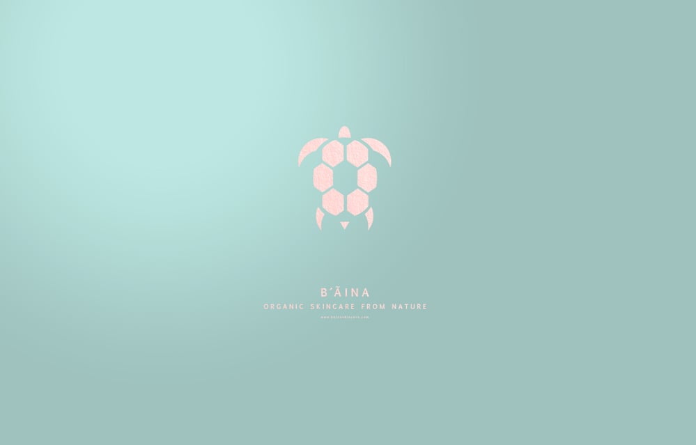 B’Aina Branding