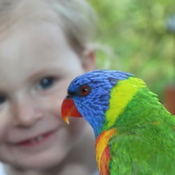 Lori und Kind Vogelpark Marlow