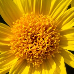 very-beautiful-8195009