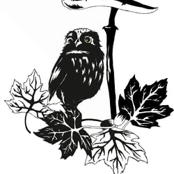 TinyOwl