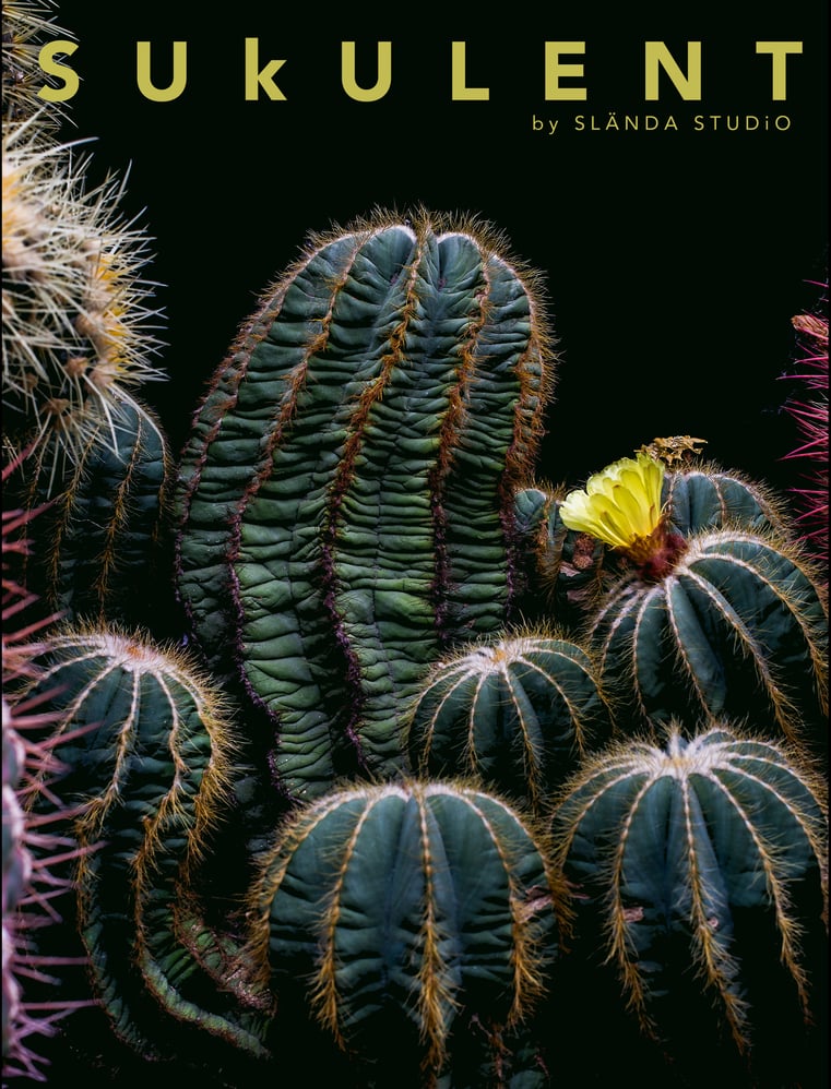 wall