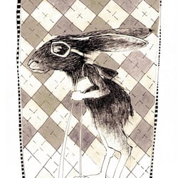 alter Hase