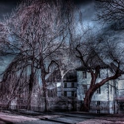 MG 5838hdr