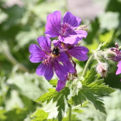 Experience 2012 No. 04