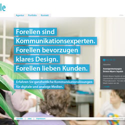 Redesign und die Umsetzung in xhtml und css der Website forelle-media.de